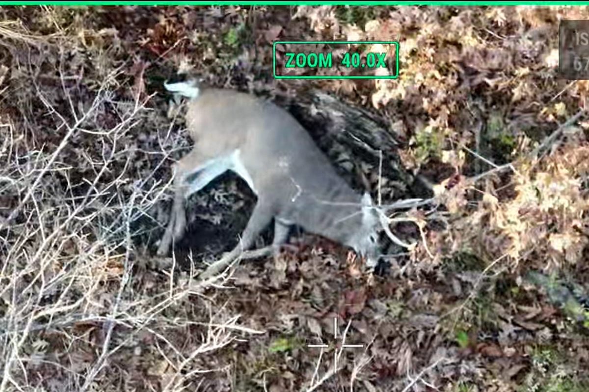 40x zoom thermal view of a deer captured during a night recovery flight